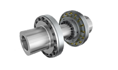 BP diaphragm coupling